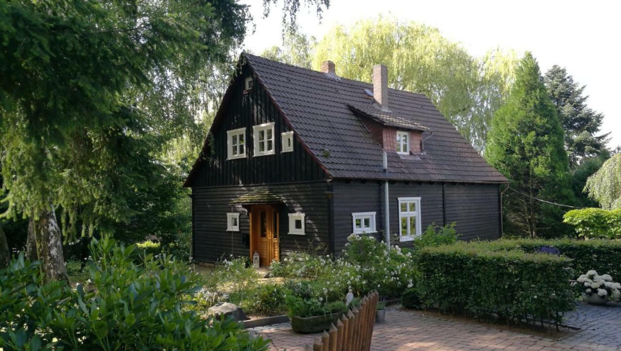"Haus Am Knobben" Villa Uslar Bagian luar foto