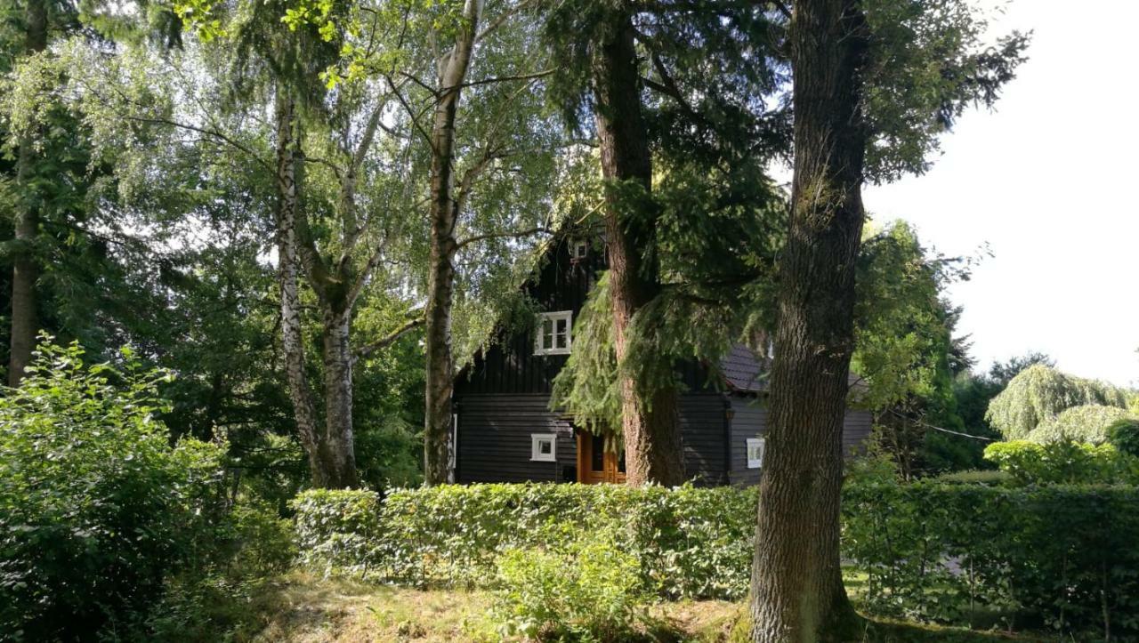 "Haus Am Knobben" Villa Uslar Bagian luar foto