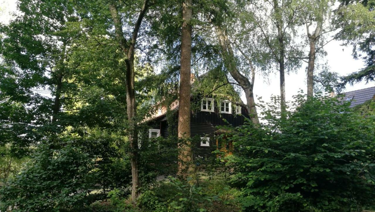 "Haus Am Knobben" Villa Uslar Bagian luar foto