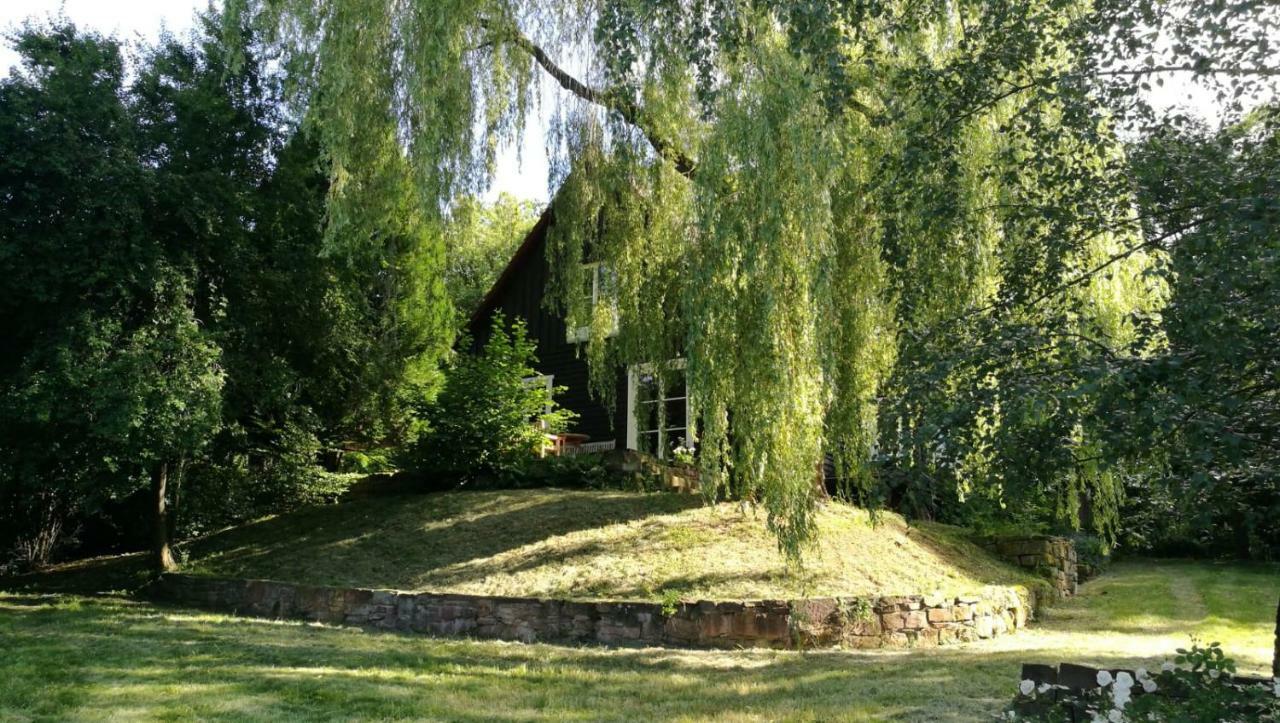 "Haus Am Knobben" Villa Uslar Bagian luar foto